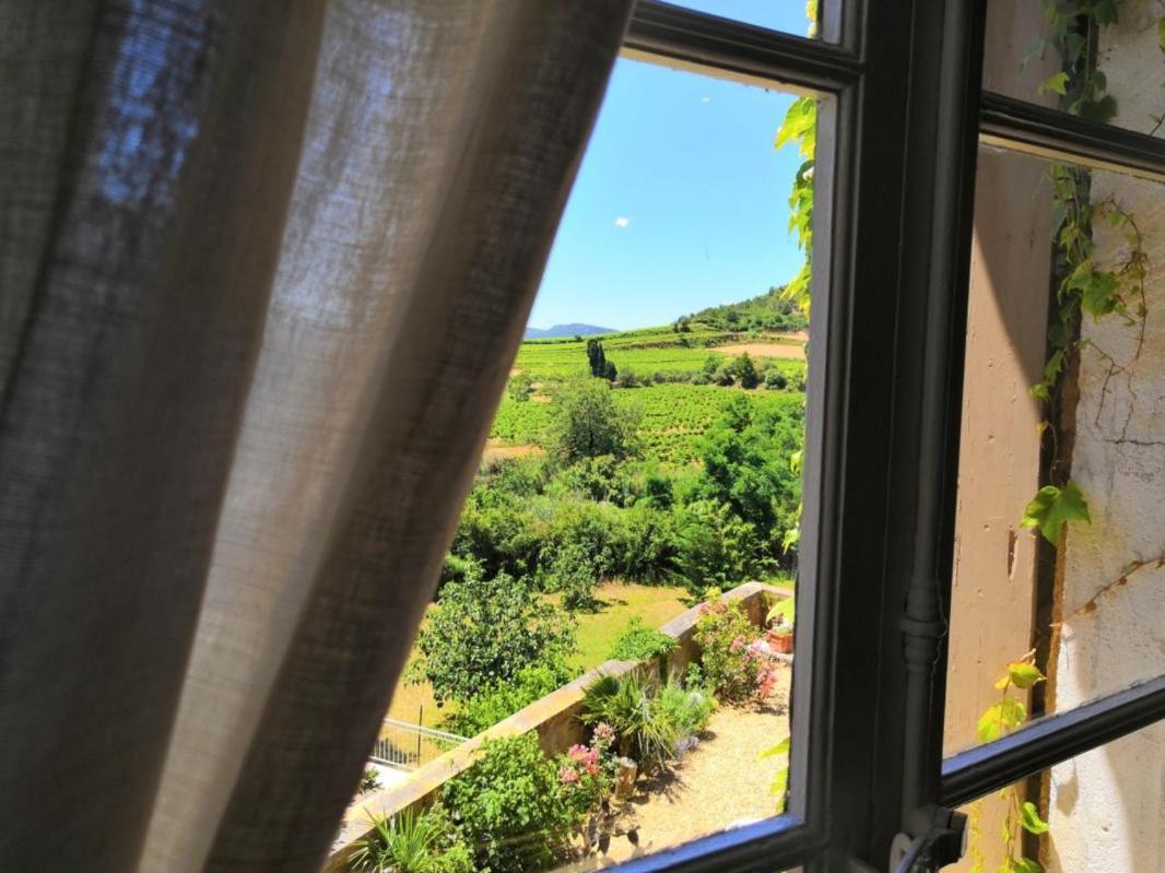 Chambre D'Hotes Au Domaine Du Soleil Couchant Saint-André-de-Roquelongue Værelse billede